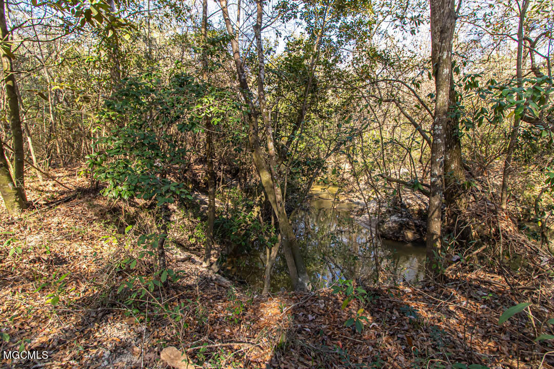 123 McConnell Road Beaumont, MS 39423 - Photo 39 of 41 Creek