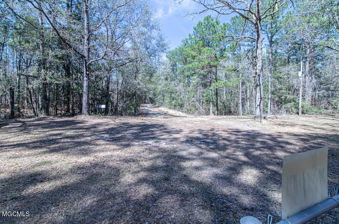123 McConnell Road Beaumont, MS 39423 - Photo 40 of 41 Cleared area