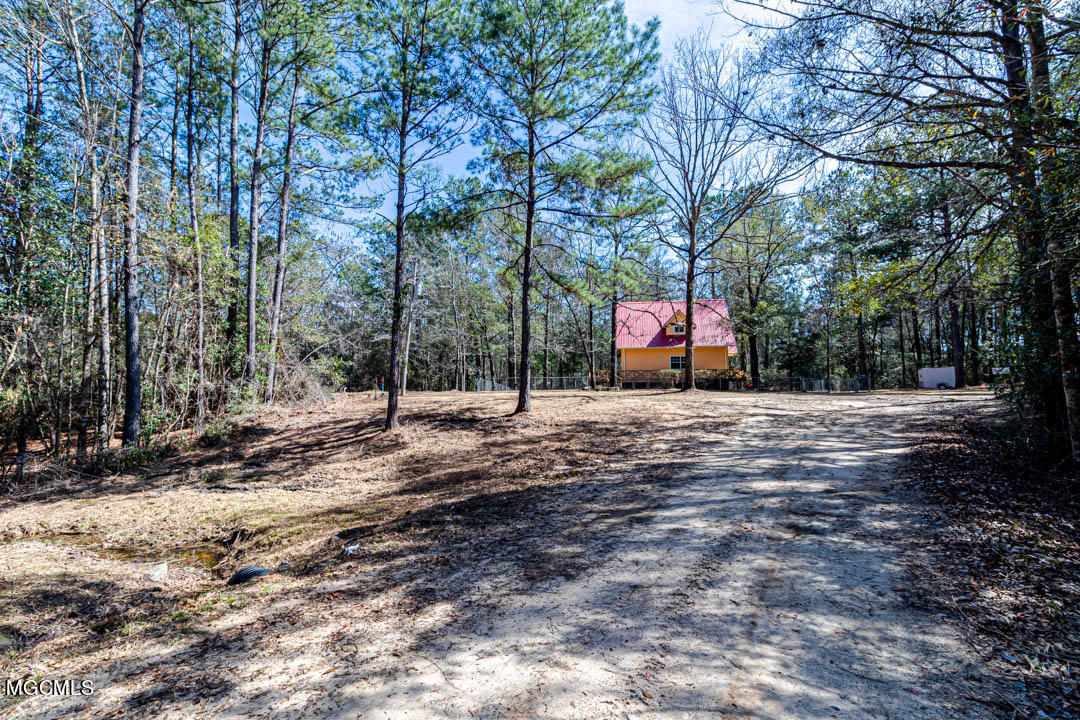 123 McConnell Road Beaumont, MS 39423 - Photo 7 of 41 Driveway