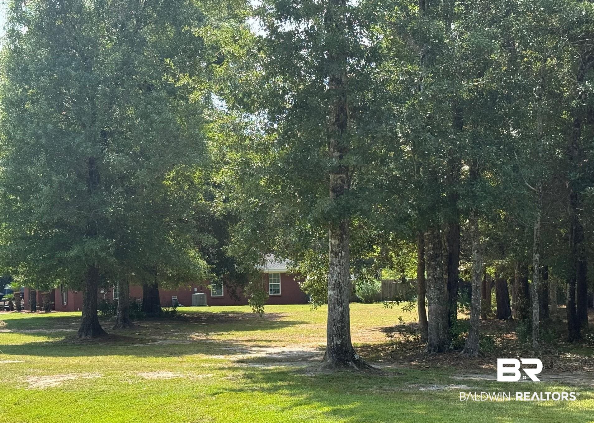 9830 Pineview Avenue Theodore, AL 36582 - Photo 54 of 54 Large Side Yard with Nick Trees