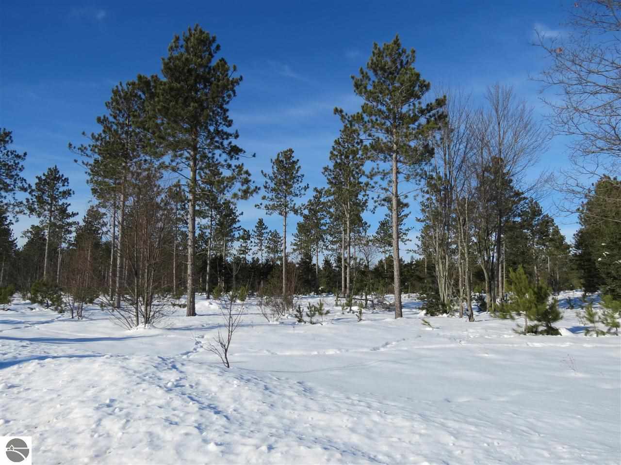 0 Reno Road Copemish, MI 49625 - Photo 8 of 8