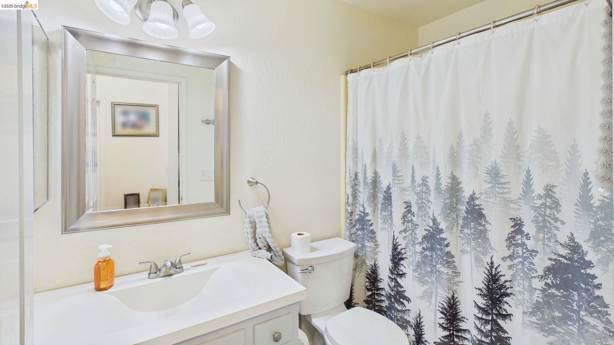 11858 Campo Seco Road Sonora, CA 95370 - Photo 30 of 45 Bathroom featuring a vanity with an integrated sink, a rectangular framed mirror, a three-light fixture, and a toilet