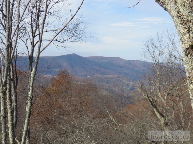 1645 Silverleaf Road Zionville, NC 28698 - Photo 12 of 19 Gallery Image 12