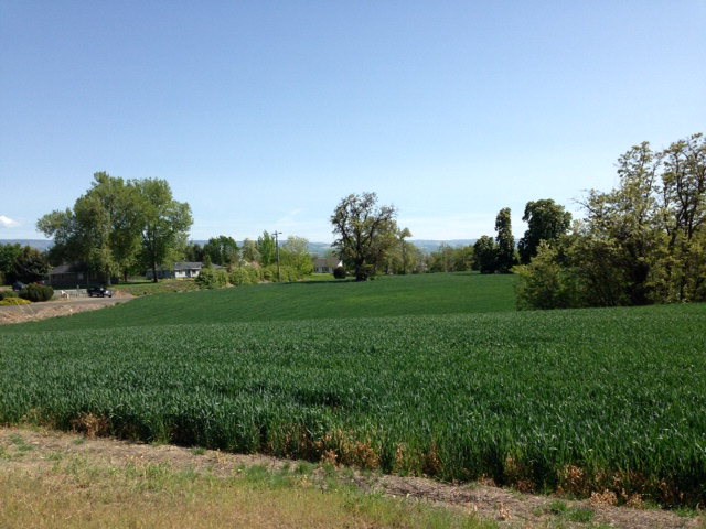 0 Taumarson Road Walla Walla, WA 99362 - Photo 1 of 1 Gallery Image 1