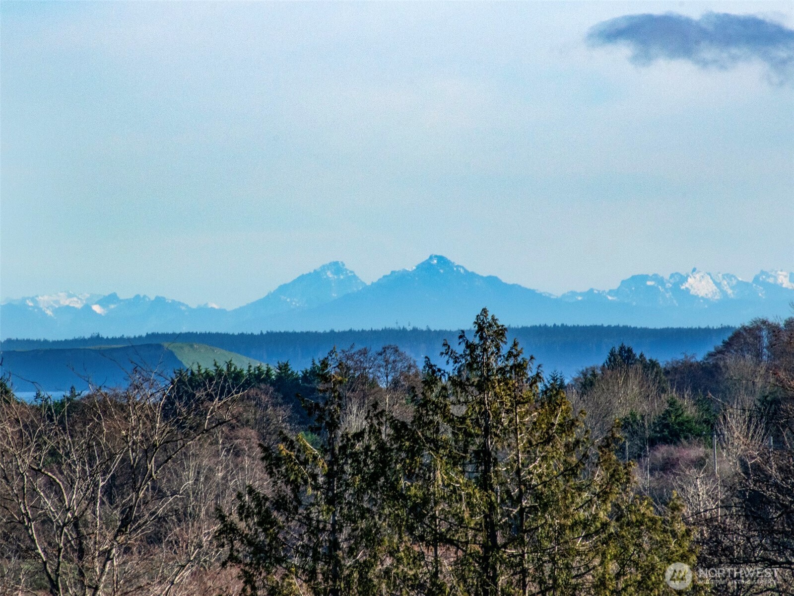 293 Moonlight Drive Sequim, WA 98382 - Photo 12 of 39