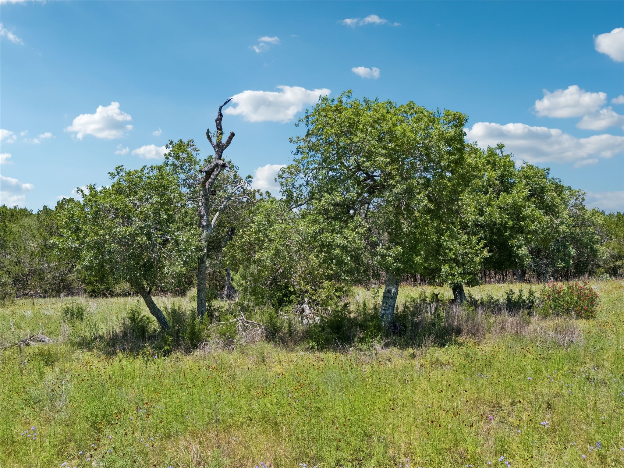 Tbd South Rainbow Ranch Road Wimberley, TX 78676 - Photo 5 of 17