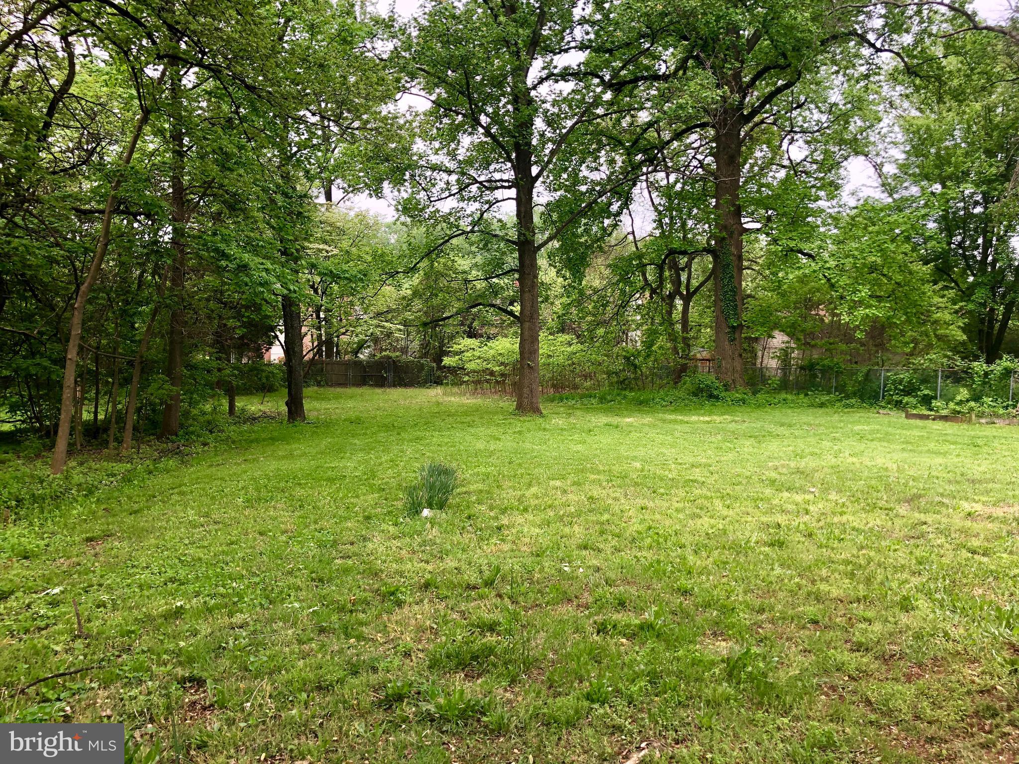 3637 Hilmar Road Baltimore, MD 21244 - Photo 2 of 9 Huge Backyard