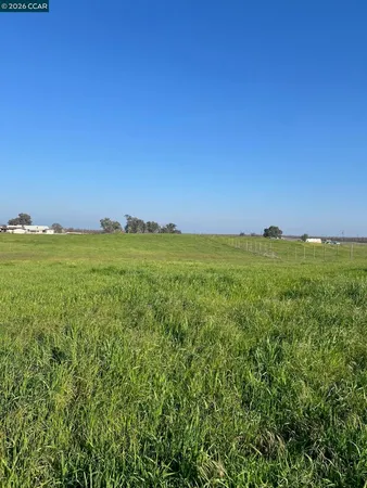 a view of a field with an ocean