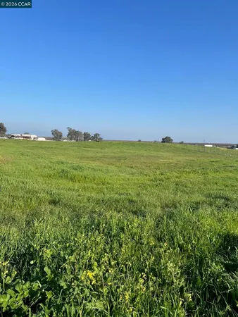 a view of a green field with lots of bushes