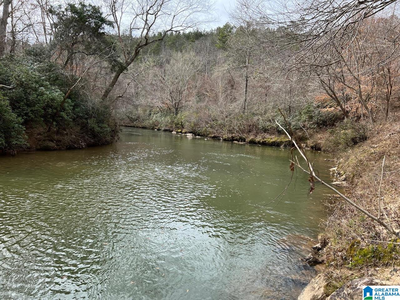 Plyers Mill Road, Unit 43 Alexander City, AL 35010 - Photo 2 of 27