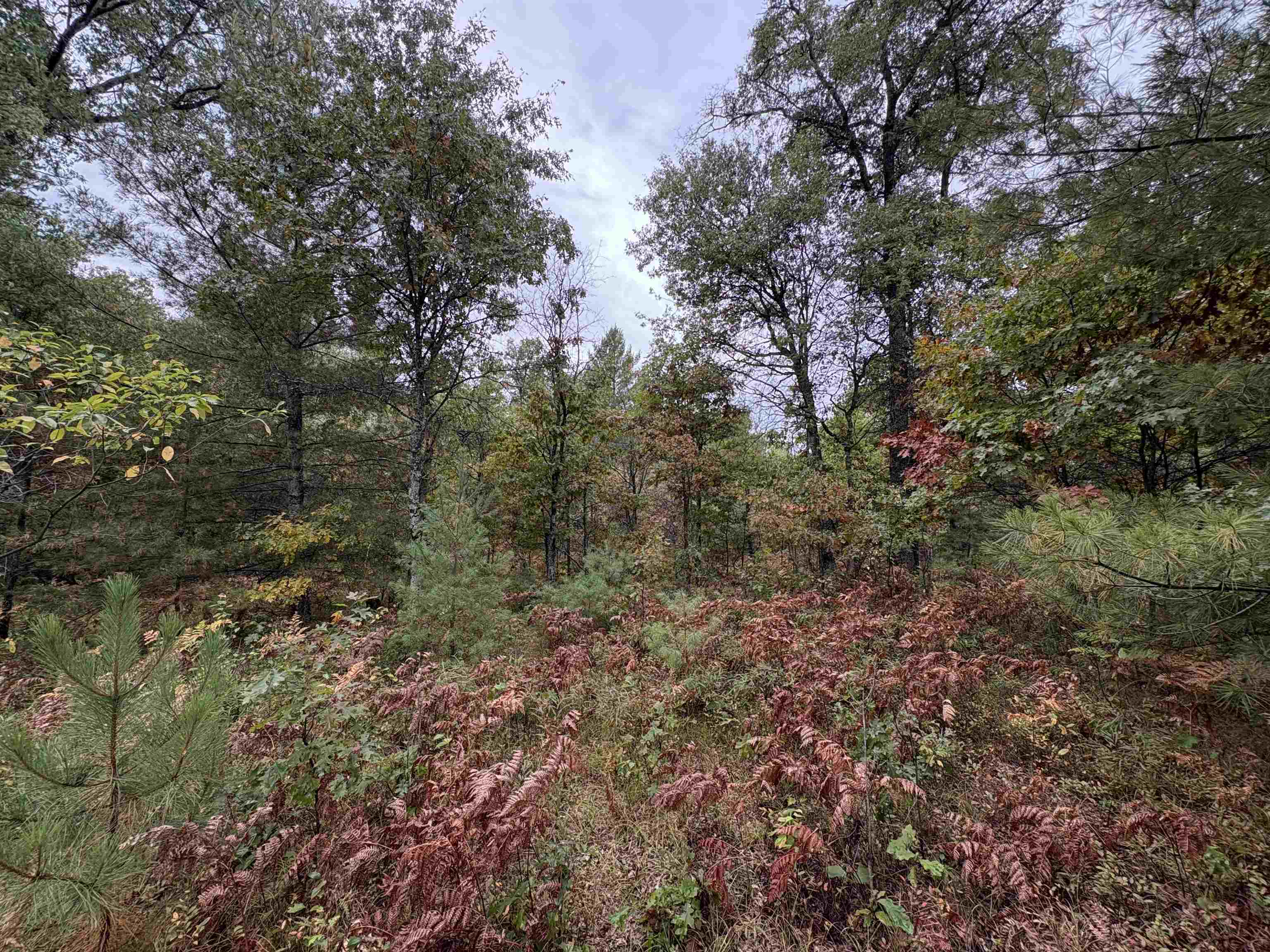 0 Hall Road Roscommon, MI 48653 - Photo 8 of 17