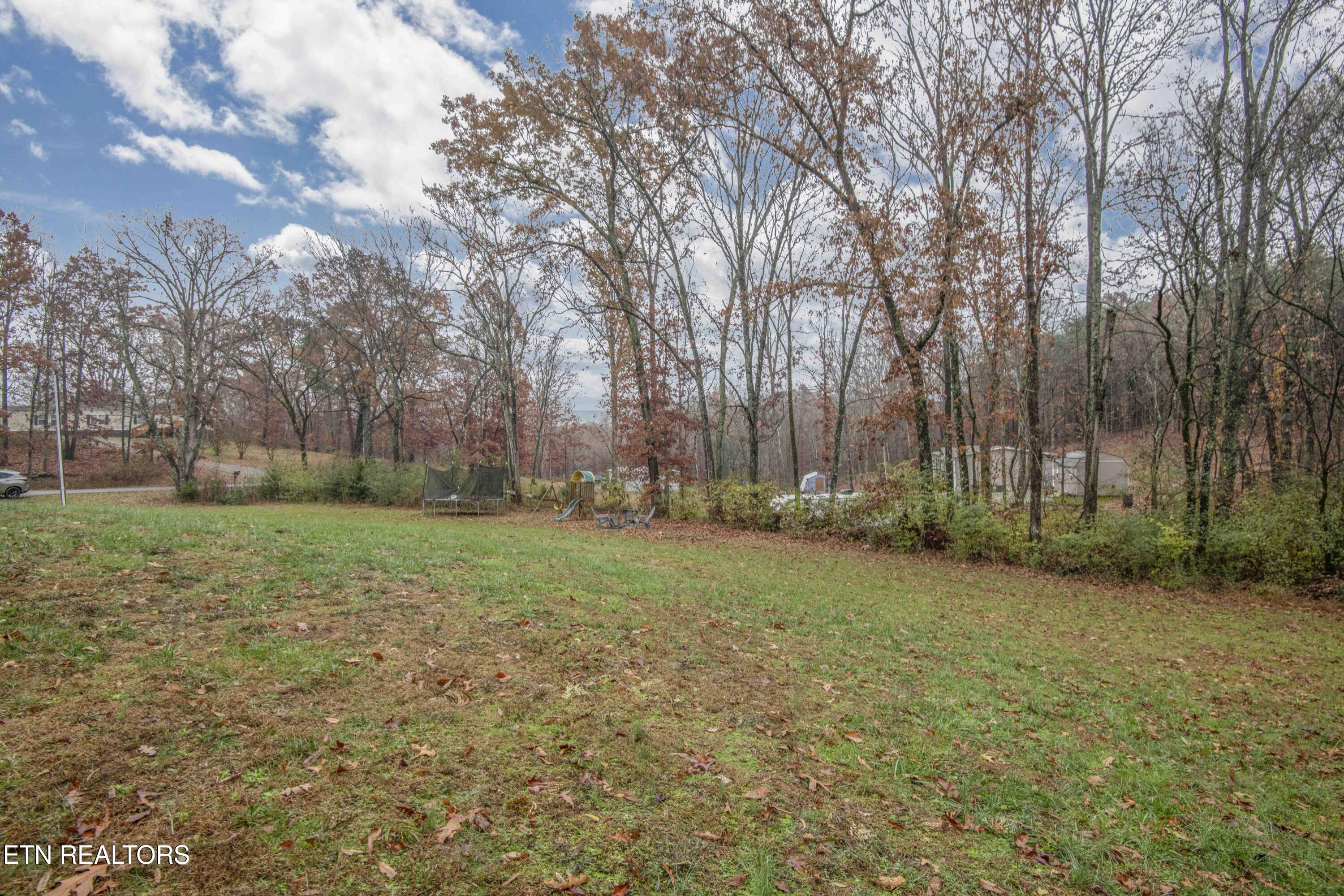 3941 Hackney Chapel Road Lenoir City, TN 37772 - Photo 38 of 40 yard 4_1