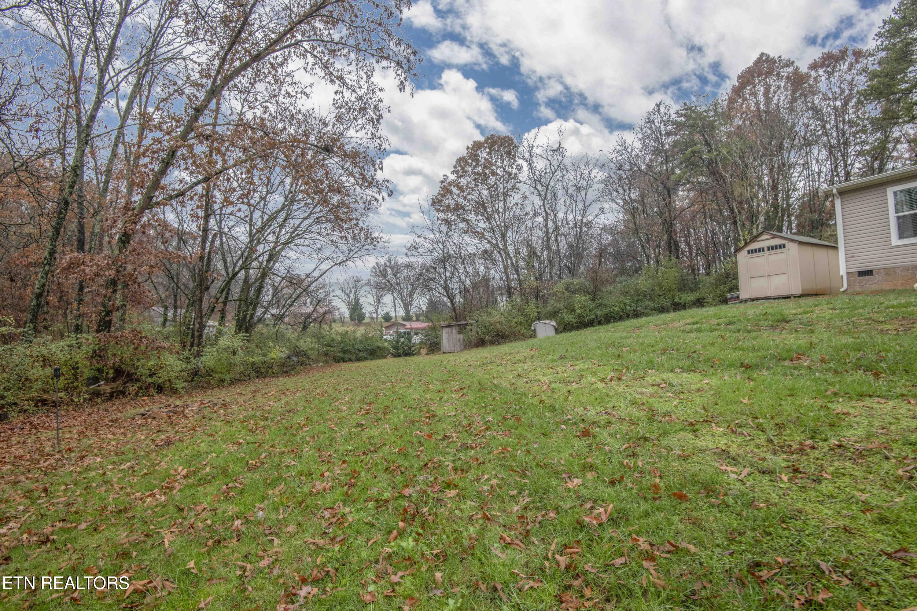 3941 Hackney Chapel Road Lenoir City, TN 37772 - Photo 39 of 40 yard 5_1
