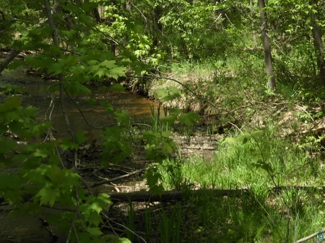 $144,000 | 625 X Iron Lake Road, Iron River, WI 54847