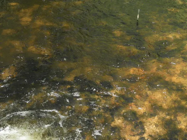 $144,000 | 625 X Iron Lake Road, Iron River, WI 54847