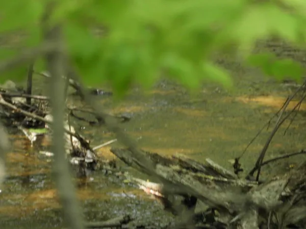 $144,000 | 625 X Iron Lake Road, Iron River, WI 54847