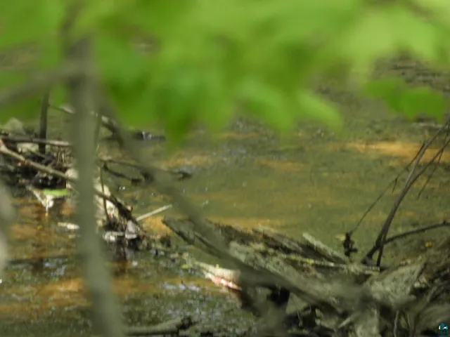 $144,000 | 625 X Iron Lake Road, Iron River, WI 54847