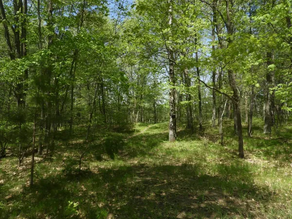 $144,000 | 625 X Iron Lake Road, Iron River, WI 54847