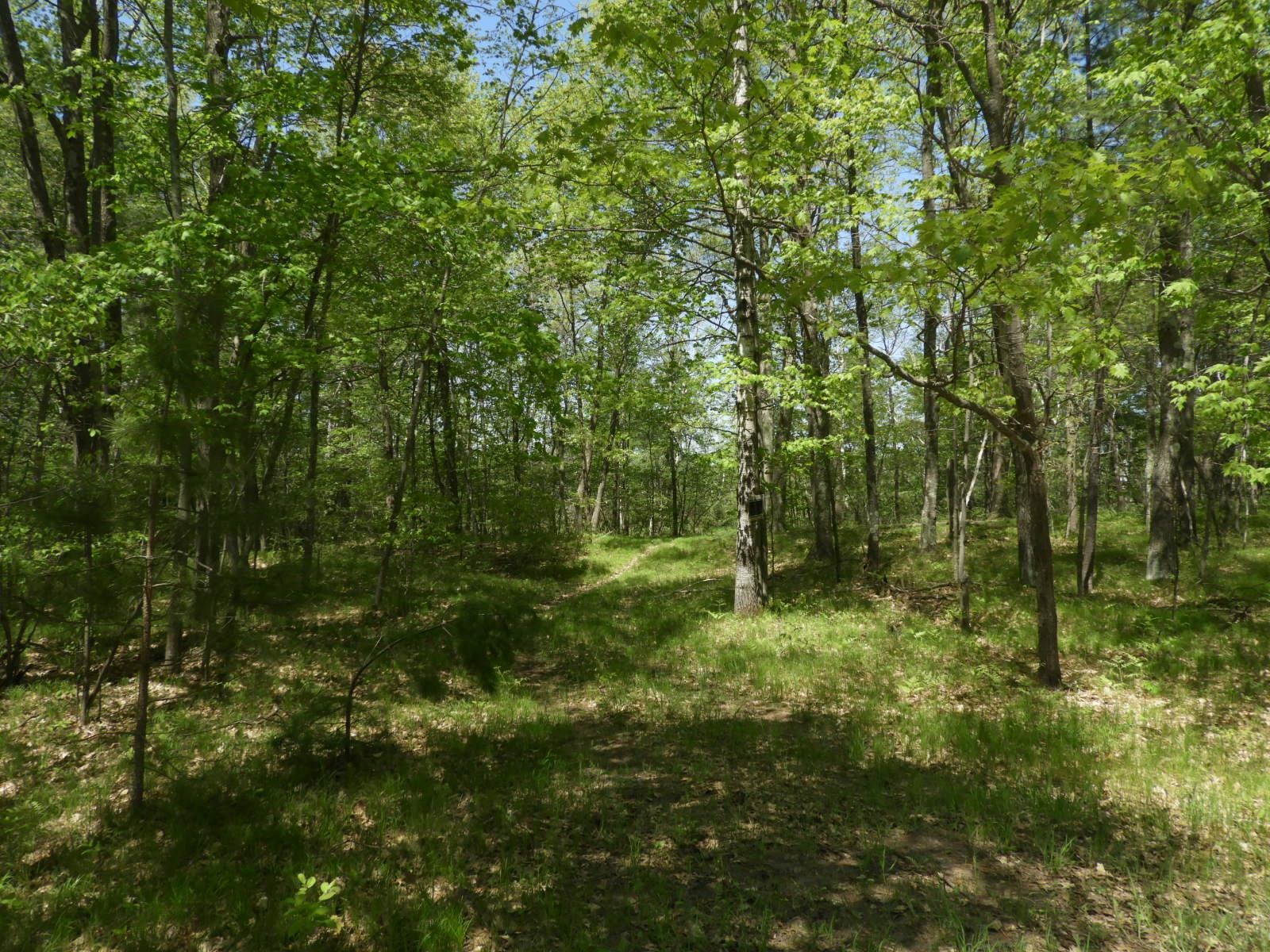 625 X Iron Lake Road Iron River, WI 54847 - Photo 5 of 8