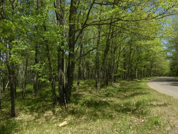 $144,000 | 625 X Iron Lake Road, Iron River, WI 54847