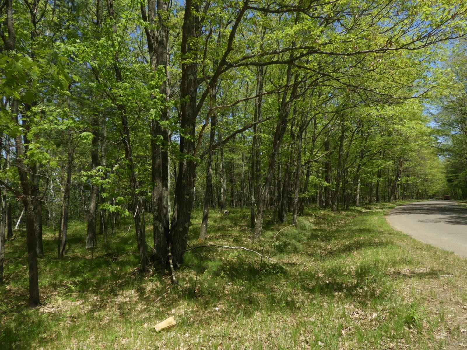 625 X Iron Lake Road Iron River, WI 54847 - Photo 6 of 8