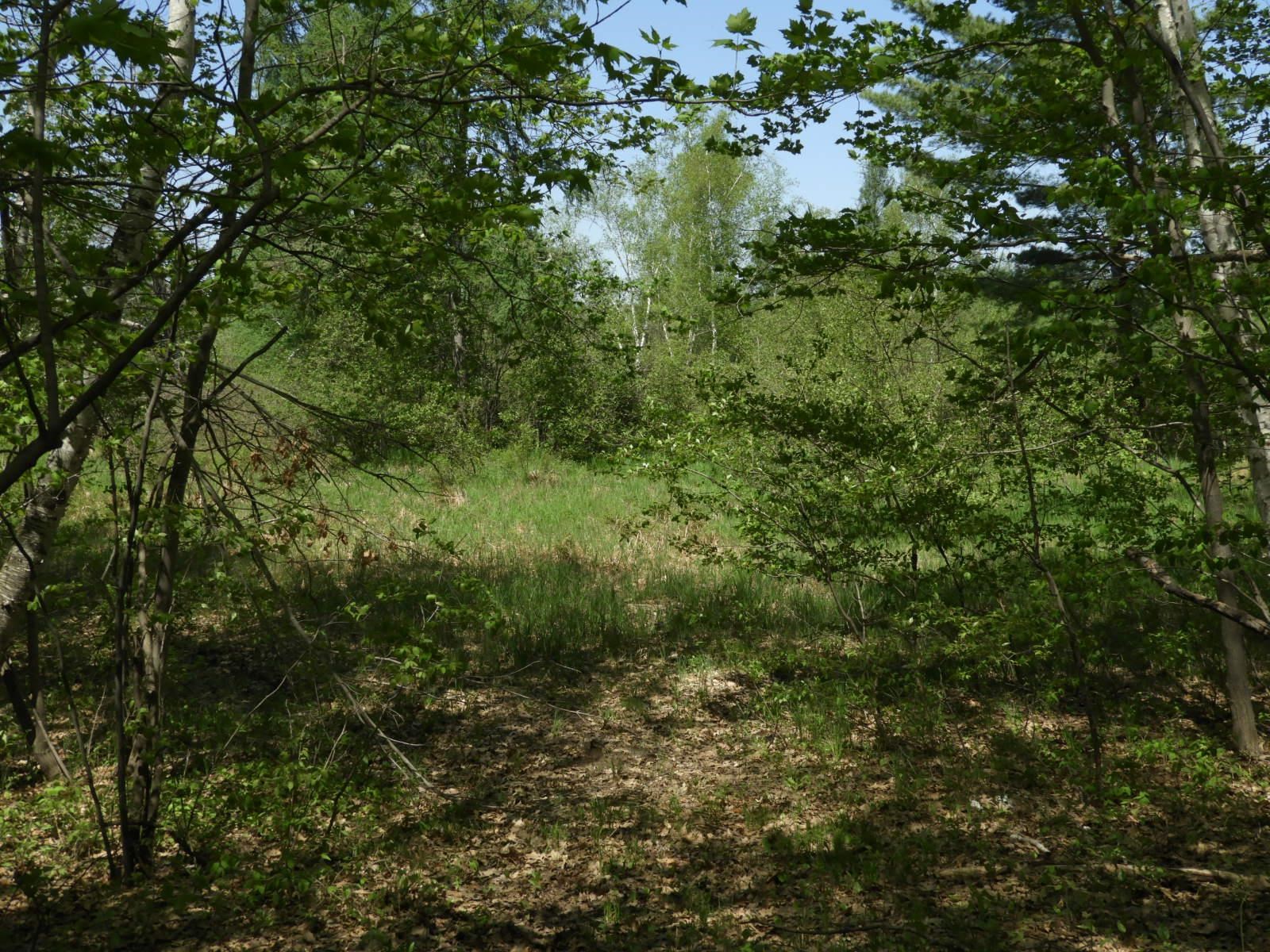 625 X Iron Lake Road Iron River, WI 54847 - Photo 7 of 8
