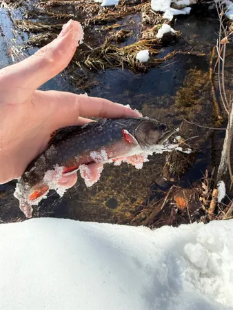 $144,000 | 625 X Iron Lake Road, Iron River, WI 54847