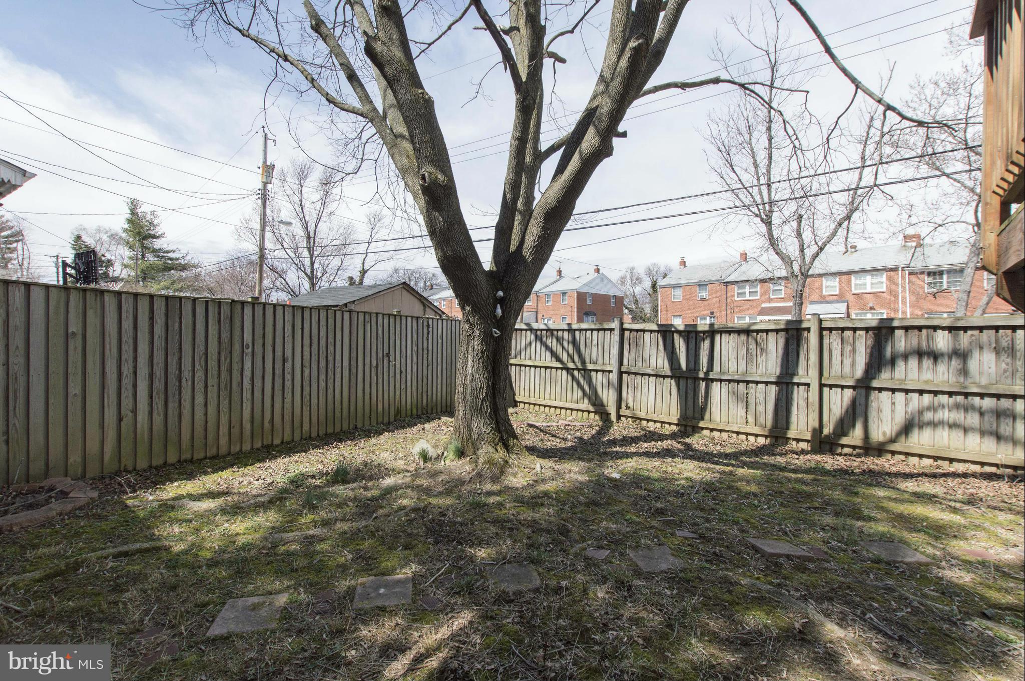 1254 Cedarcroft Road Baltimore, MD 21239 - Photo 30 of 30 a view of backyard with tree