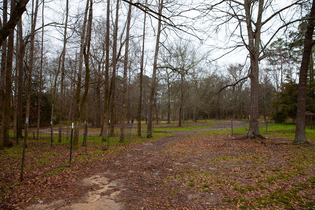 3046 Ray Owens Road Appling, GA 30802 - Photo 35 of 38 FRONT YARD
