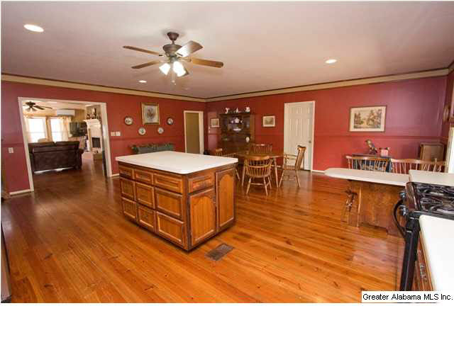 905 Smith Road Oneonta, AL 35121 - Photo 5 of 30