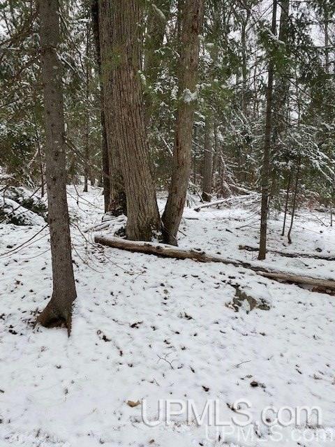 Tbd Tbd Northwoods Road Marquette, MI 49855 - Photo 29 of 31