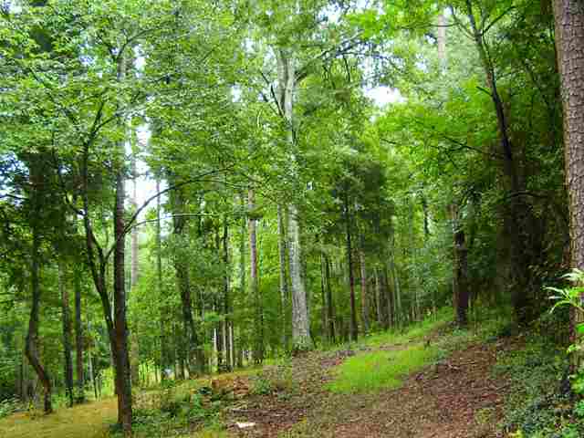 0 Leopard Road Fountain Inn, SC 29644 - Photo 2 of 10