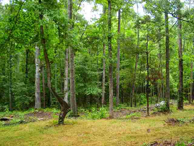 0 Leopard Road Fountain Inn, SC 29644 - Photo 3 of 10