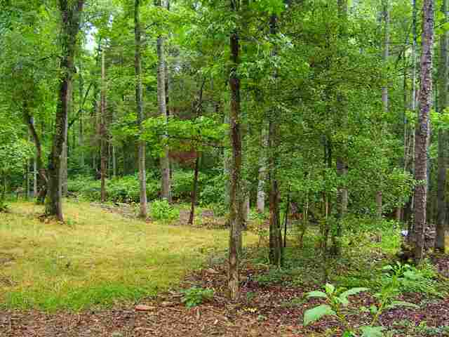 0 Leopard Road Fountain Inn, SC 29644 - Photo 5 of 10