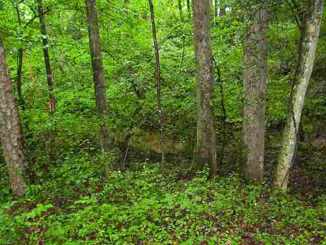 0 Leopard Road Fountain Inn, SC 29644 - Photo 8 of 10
