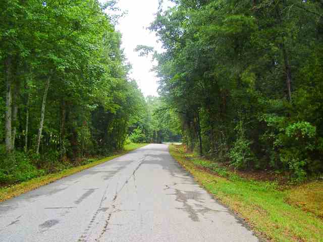 0 Leopard Road Fountain Inn, SC 29644 - Photo 10 of 10