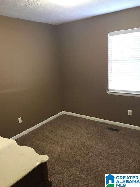 95 Academy Street Springville, AL 35146 - Photo 14 of 19