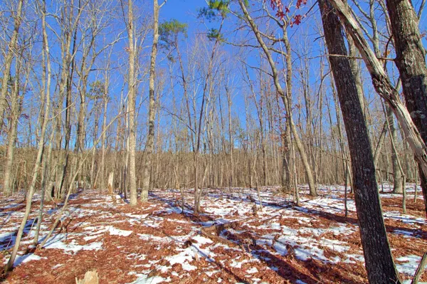 a view of a pathway with a yard