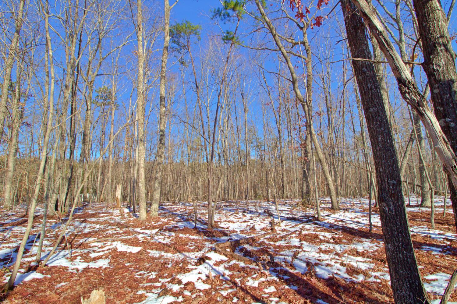 0 Texas School Road Wingina, VA 24599 - Photo 4 of 4 a view of a pathway with a yard
