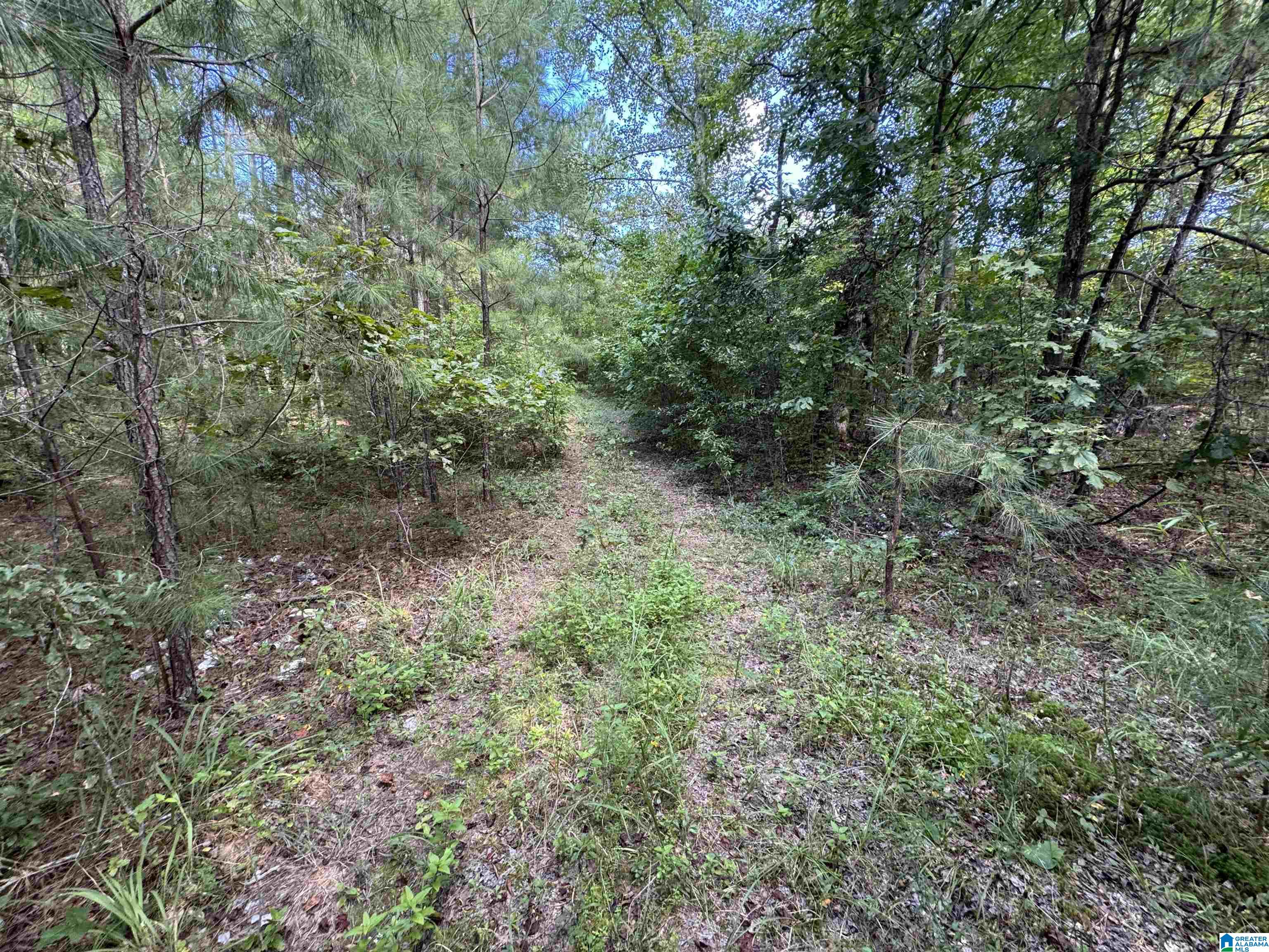20394 County Road 55 Sterrett, AL 35147 - Photo 15 of 43