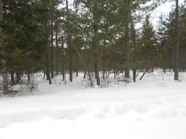 On On Tamarack Ridge Road Conover, WI 54519 - Photo 2 of 3 Gallery Image 2