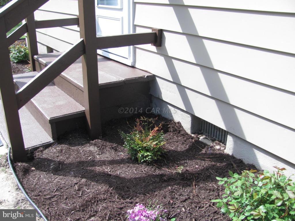 26947 Siloam Road Salisbury, MD 21801 - Photo 17 of 19 Gallery Image 17