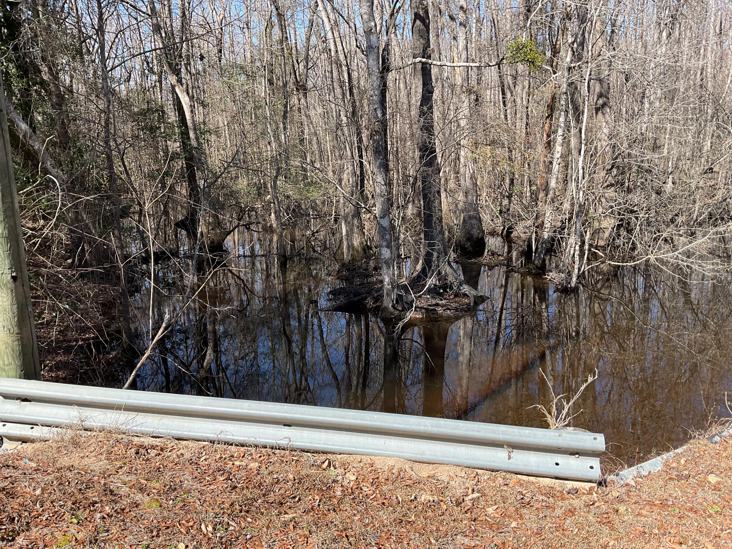 1114 Lott Bluff Road Blackville, SC 29817 - Photo 144 of 164