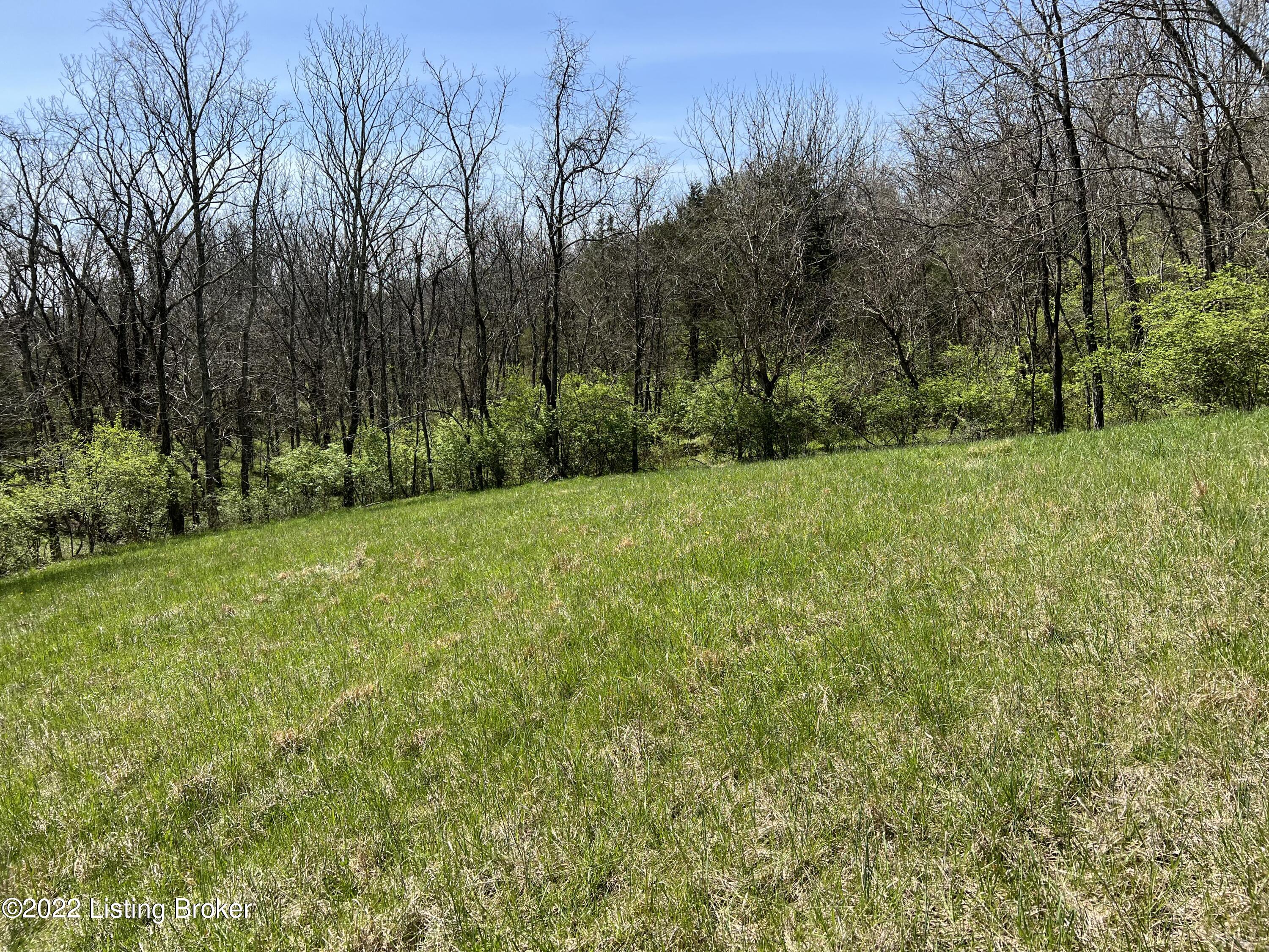 951 Hickory Ridge Road Waddy, KY 40076 - Photo 49 of 61 IMG_7719