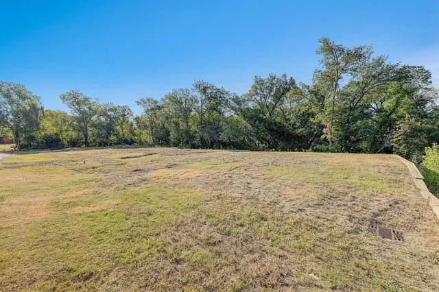a view of a field with trees in the background