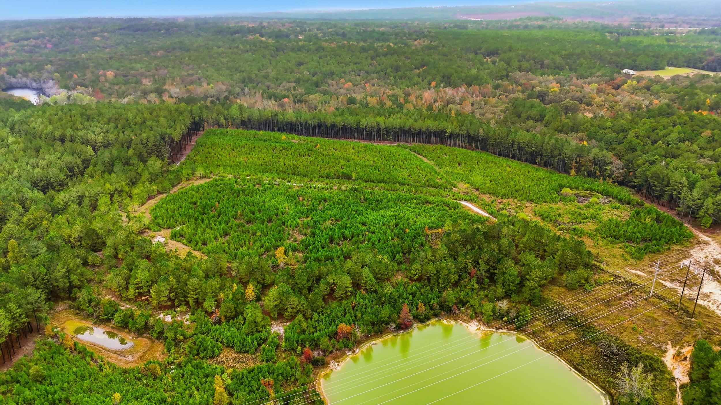 2427 Wire Road Aiken, SC 29805 - Photo 45 of 51 dji_20251029144927_0071_d