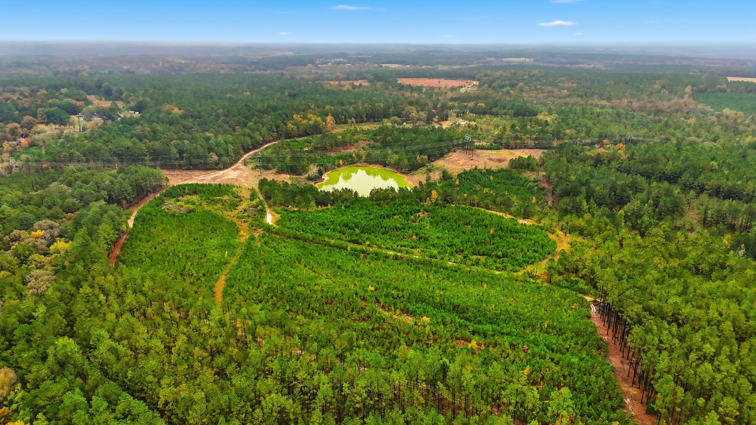 2427 Wire Road Aiken, SC 29805 - Photo 48 of 51 dji_20251029145130_0089_d