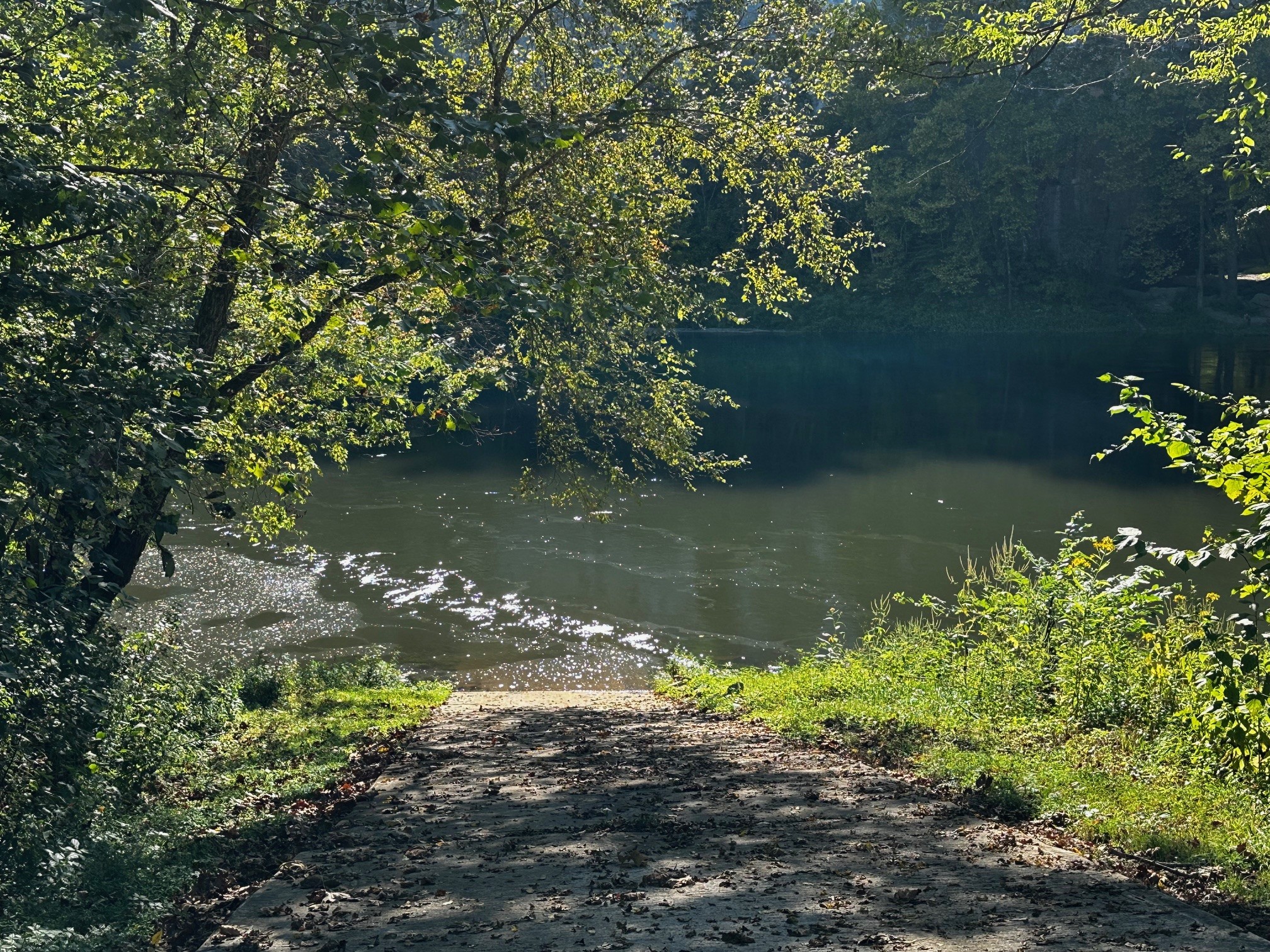 0 Rockhouse Trce Road Albany, KY 42602 - Photo 15 of 24 a view of a lake with a tree