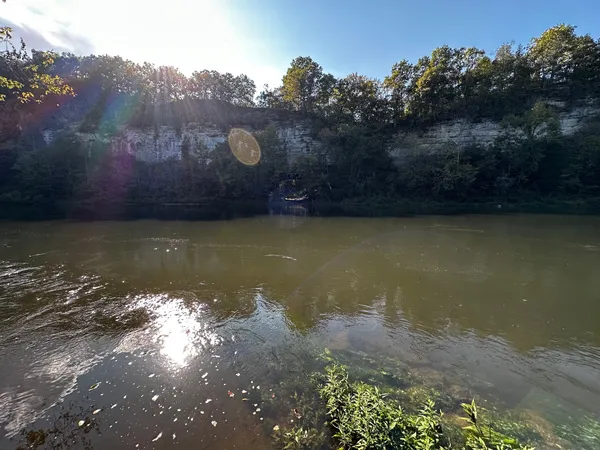a view of a lake in middle of forest