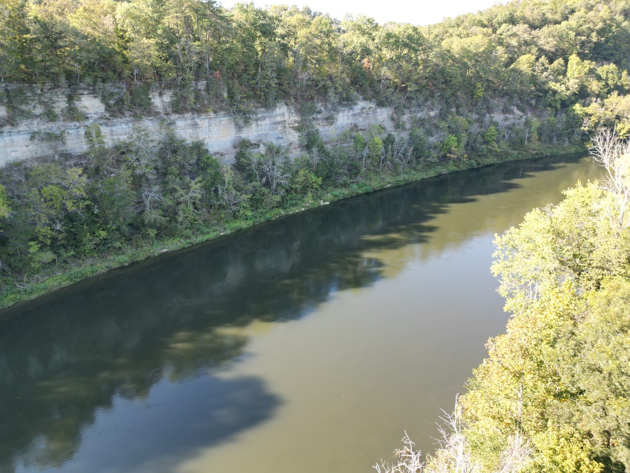 0 Rockhouse Trce Road Albany, KY 42602 - Photo 21 of 24 a view of a lake in middle of forest